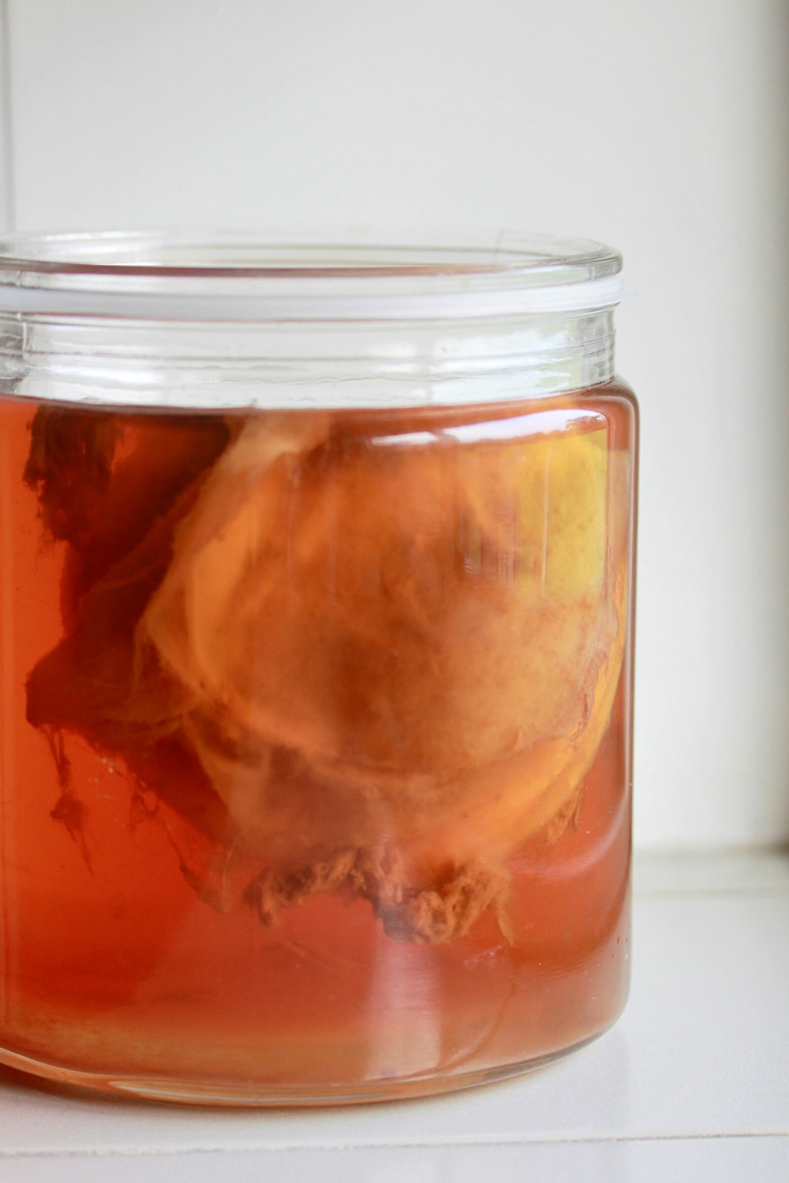 A clear glass jar with cloudy liquid on a kitchen counter — the fermentation setup in progress.