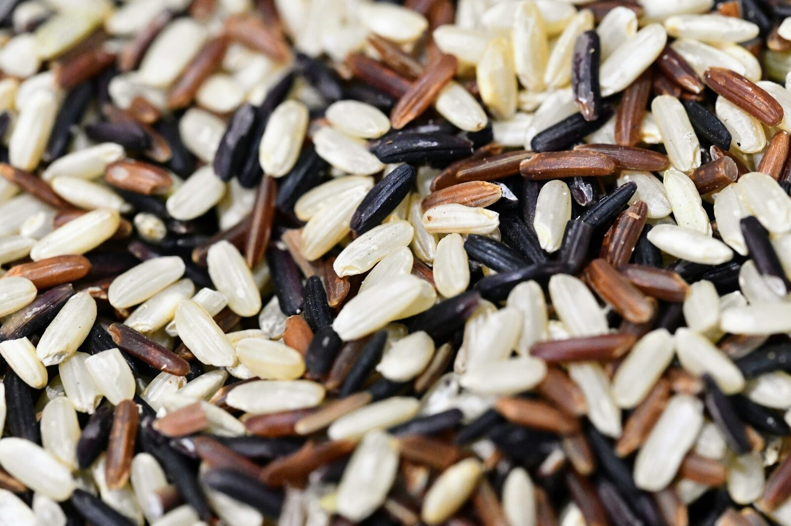 Macro close-up of rice grains showing texture variation.